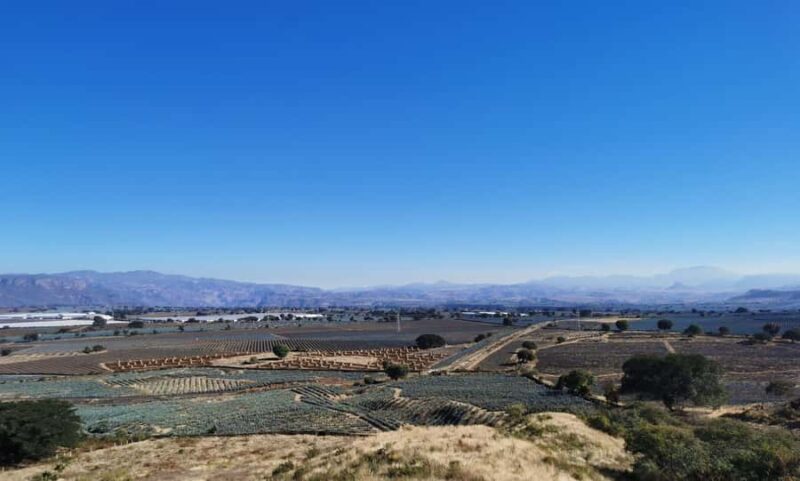 From Guadalajara: Tequila Tour: Tasting Experience & Lunch - Explore Jalisco’s Iconic Agave Fields and Breathtaking Views