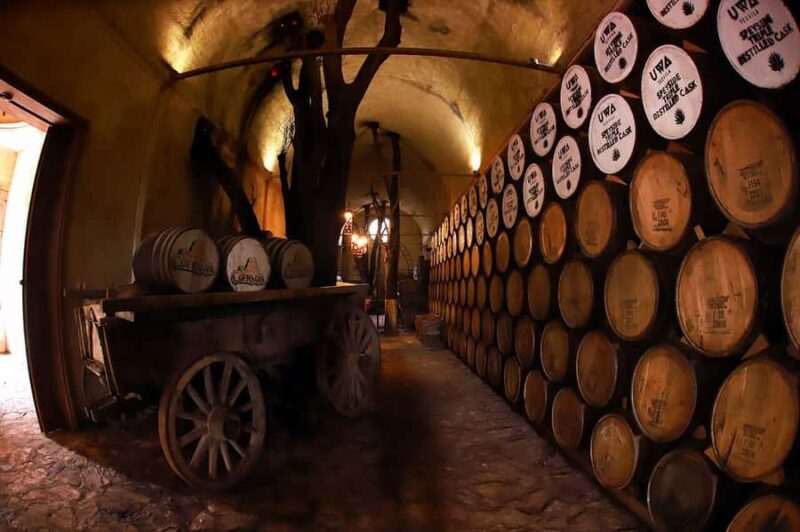 From Guadalajara: Tequila Tour: Tasting Experience & Lunch - Lunch in a Unique Underground Restaurant Surrounded by Agave Plants