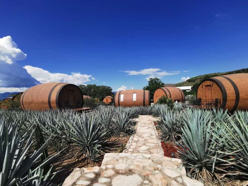 From Guadalajara: Tequila Tour: Tasting Experience & Lunch - Practical Details: Logistics and What to Bring