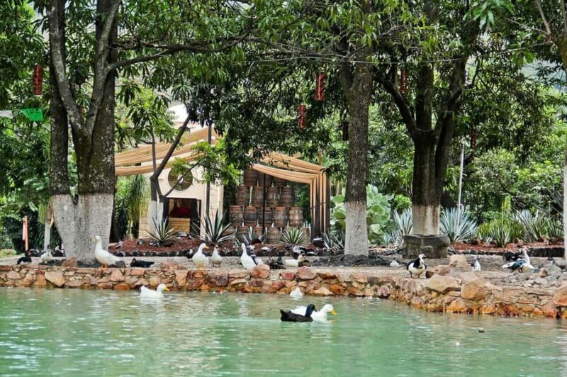 From Guadalajara: Tequila Tour: Tasting Experience & Lunch - The Guide’s Expertise and Overall Experience