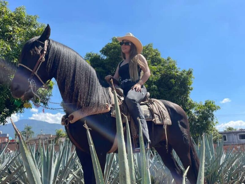 From Guadalajara: Tequila Town and Cantaritos El Guero - Enjoying Lunch at a Local Restaurant with Live Mariachi Music