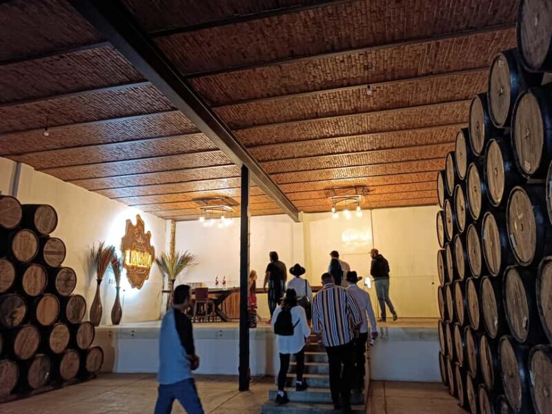 From Guadalajara: Tequila Town and Cantaritos El Guero - Exploring Tequila: A Pueblo Mágico