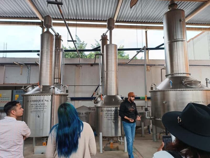 From Guadalajara: Tequila Town and Cantaritos El Guero - The Cantaritos Experience at Amatitán