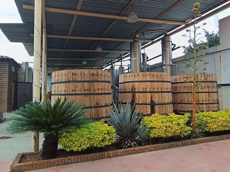 From Guadalajara: Tequila Town and Cantaritos El Guero - Practical Tips and Considerations