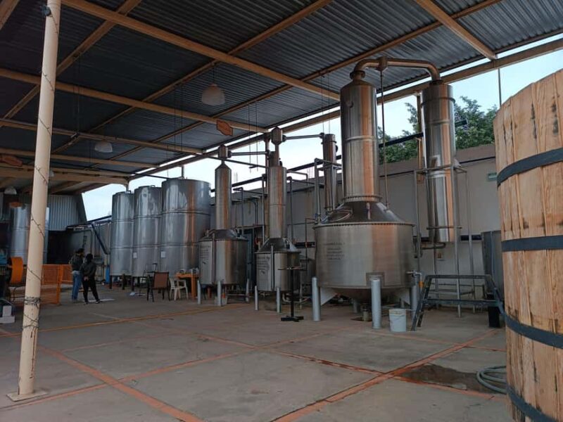 From Guadalajara: Tequila Town and Cantaritos El Guero - Comparing the Tour to Similar Experiences