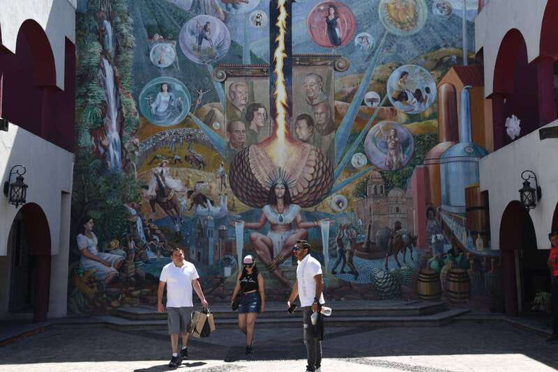 From Guadalajara: Tequila Trail Tour with Tasting - Final Thoughts on the Tequila Trail Tour