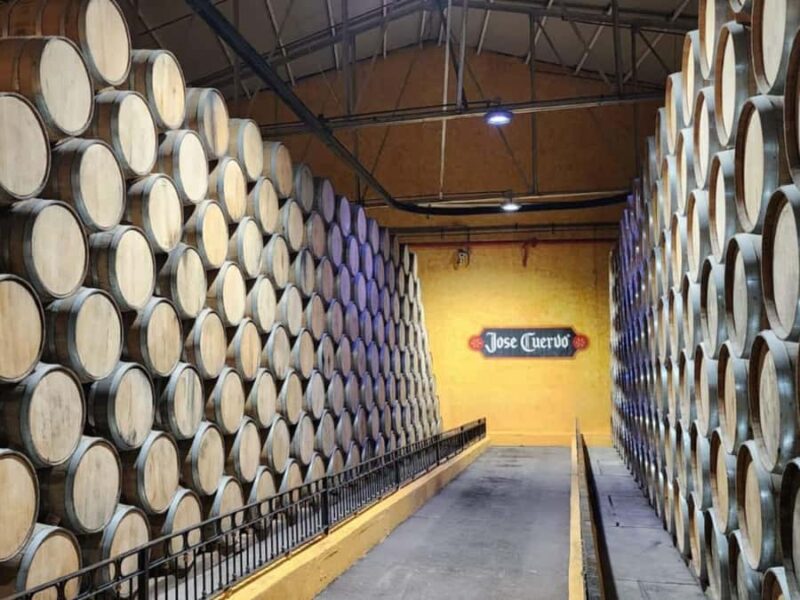 From Guadalajara to Cuervo. Worlds Largest Tequila Factory - Starting Point and Logistics: From Guadalajara to Tequila