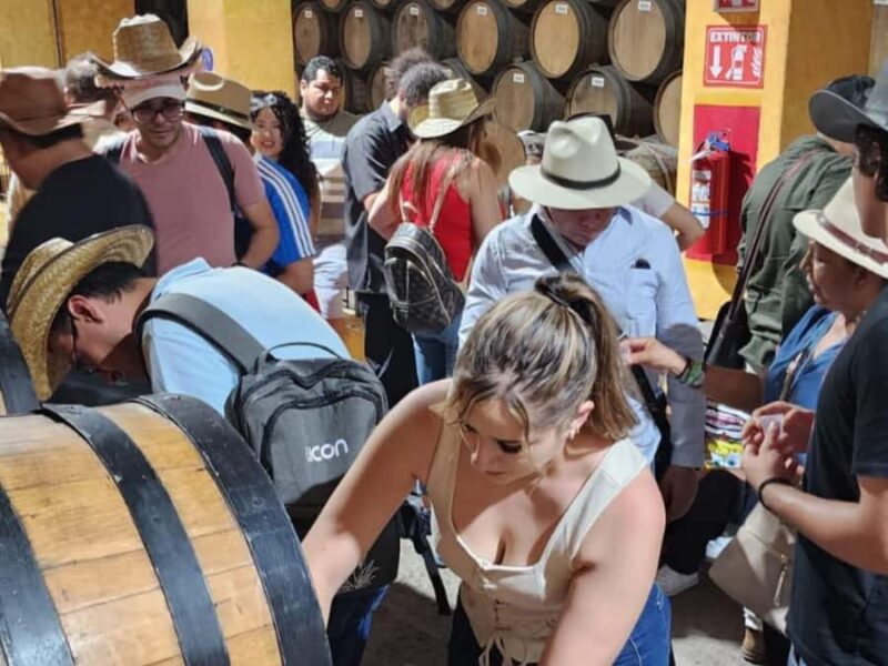 From Guadalajara to Cuervo. Worlds Largest Tequila Factory - Tasting Experience: From Barrel to Glass