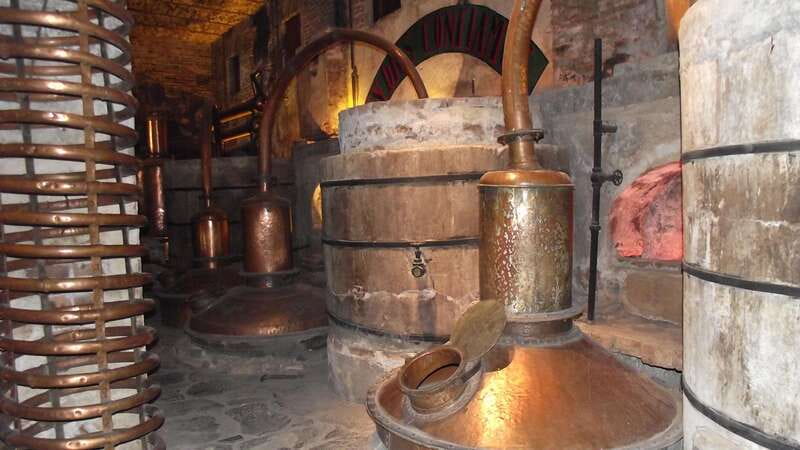 From Guadalajara: Visiting Hacienda Casa herradura. Unique! - Free Time in Tequila Town for Shopping and Dining