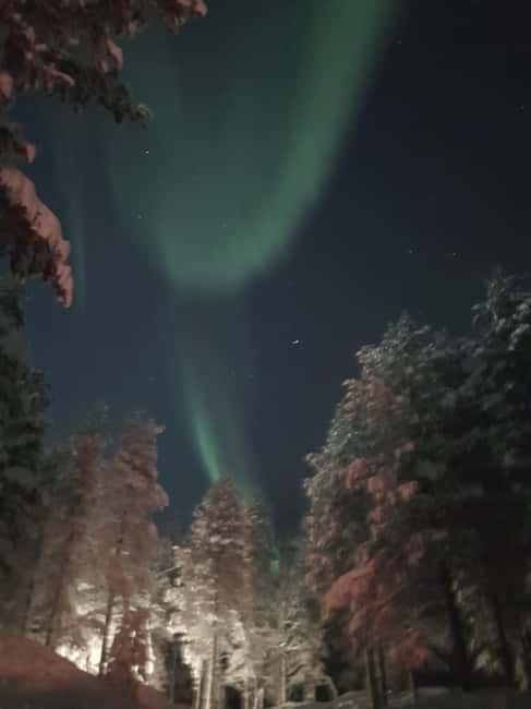 From Helsinki: Guided Forest Walk in the dark with campfire - Key Points