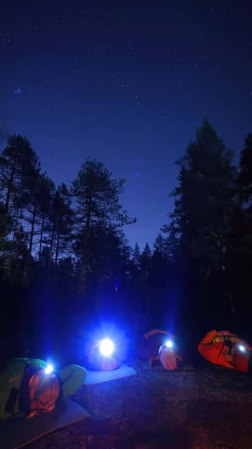 From Helsinki: Guided Forest Walk in the dark with campfire - Safety and Equipment: Ensuring a Comfortable Experience