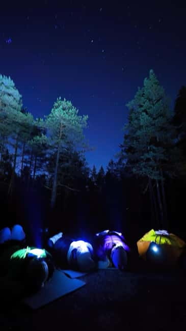 From Helsinki: Guided Forest Walk in the dark with campfire - The Campfire: Warming Up with a Hot Drink and Savory Snack