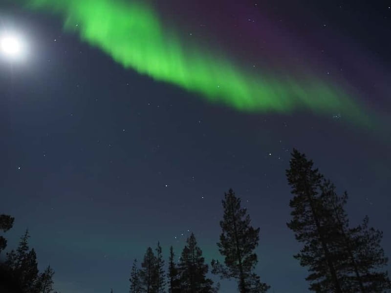 From Helsinki: Guided Forest Walk in the dark with campfire - What to Bring and What to Expect