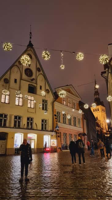 From Helsinki: Luxury Trip to Tallinn Ferry +VIP Car - Practical Tips for a Smooth Experience