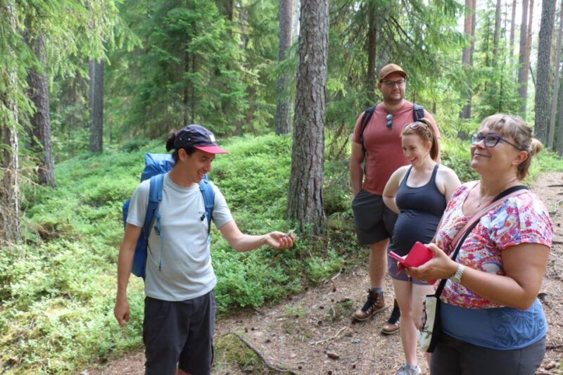 From Helsinki: Mushroom Hunting Tour in a National Park - How the Day Unfolds: Itinerary Breakdown