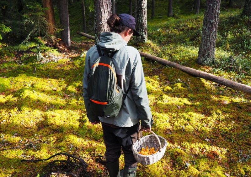 From Helsinki: Mushroom Hunting Tour in a National Park - Responsible Travel and Environmental Commitment