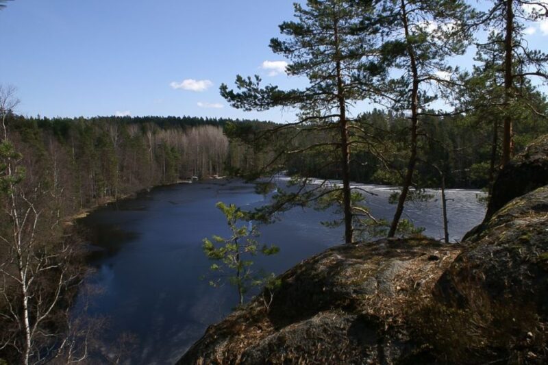 From Helsinki: Nuuksio National Park Half-Day Trip - Key Points
