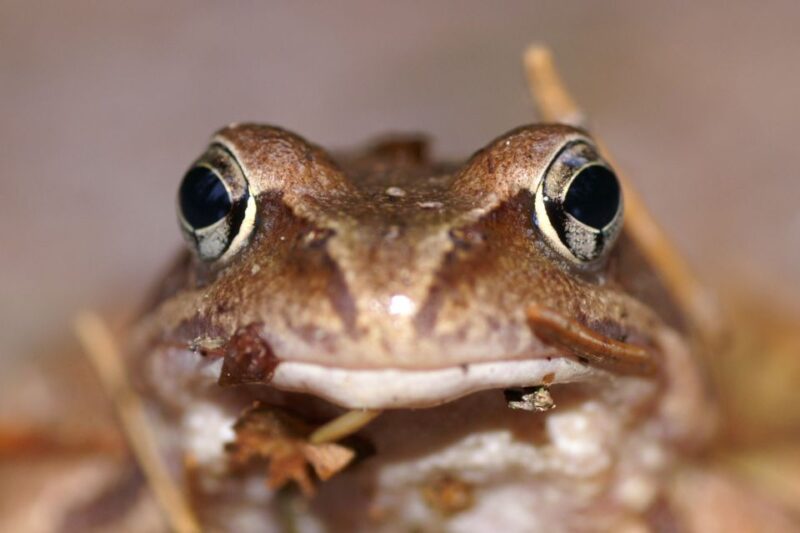 From Helsinki: Nuuksio National Park Half-Day Trip - How the Tour Starts at Railway Square in Helsinki