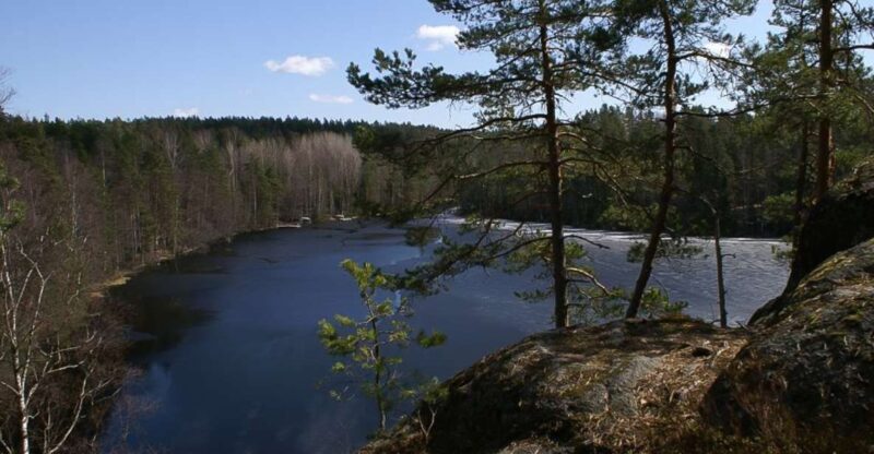 From Helsinki: Nuuksio National Park Half-Day Trip - The Experience of Trekking with a Naturalist Guide