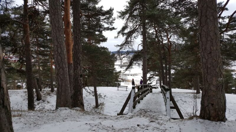 From Helsinki: Porvoo Guided Day Trip with Transportation - Exploring Porvoo’s Iconic Buildings and Local Shops