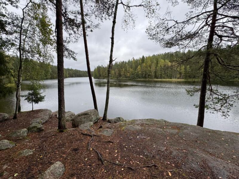 From Helsinki: Small Group Guided Hike & Lunch in Nuuksio NP - Key Points
