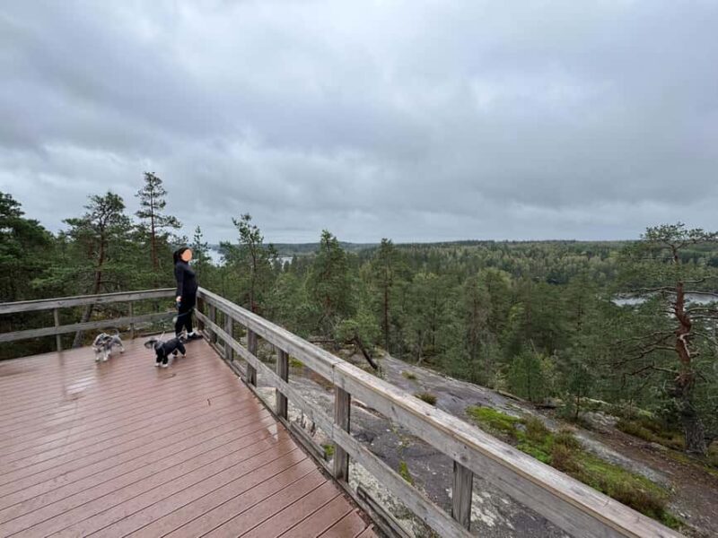 From Helsinki: Small Group Guided Hike & Lunch in Nuuksio NP - Explore Nuuksio National Park with a Personal Guide