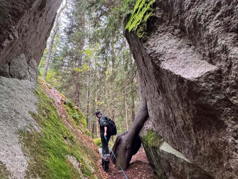 From Helsinki: Small Group Guided Hike & Lunch in Nuuksio NP - Campfire Cooking and Finnish-Style Lunch