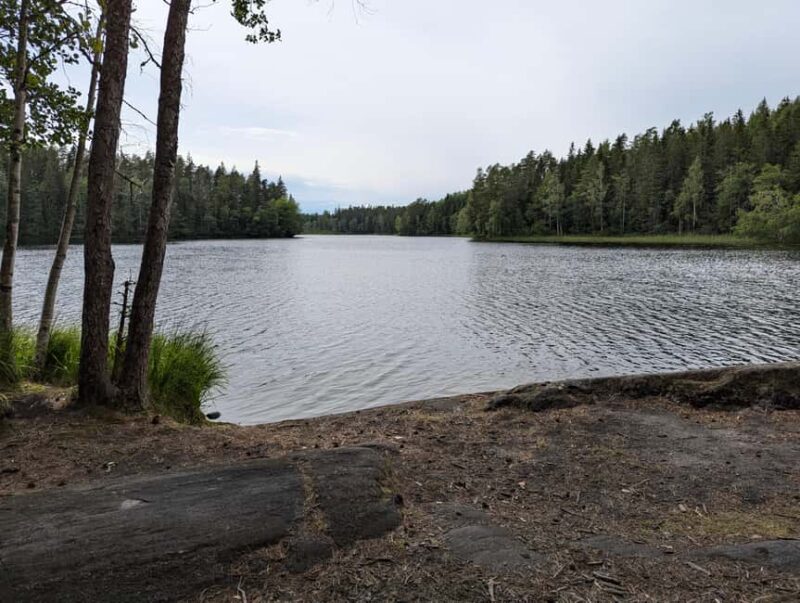 From Helsinki: Small Group Guided Hike & Lunch in Nuuksio NP - Emphasis on Sustainability and Responsible Travel