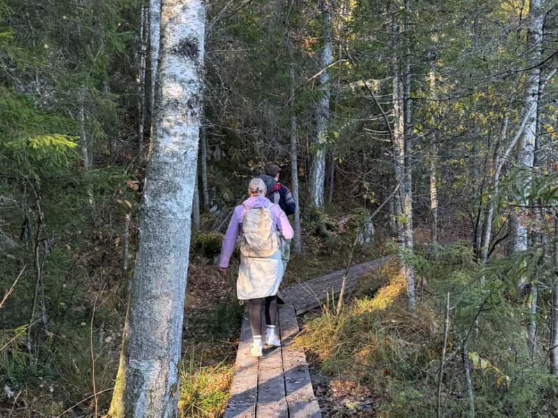From Helsinki: Small Group Guided Hike & Lunch in Nuuksio NP - Who Should Consider This Tour?