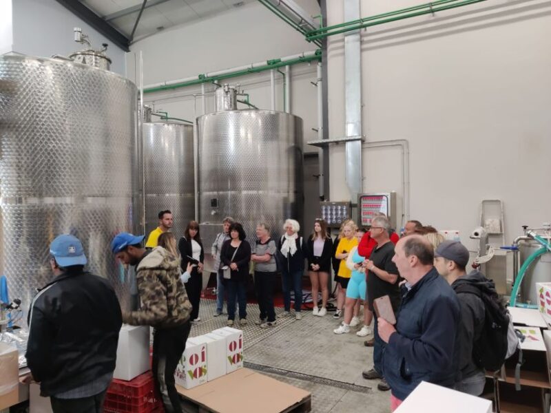 From Heraklion: Guided Jeep Safari with Winery Visit & Lunch - Flexibility and Booking Details