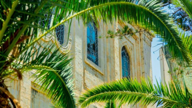 From Heraklion: Historical Center City Tour & Knossos Palace - Free Time at Knossos and Heraklions Old Town