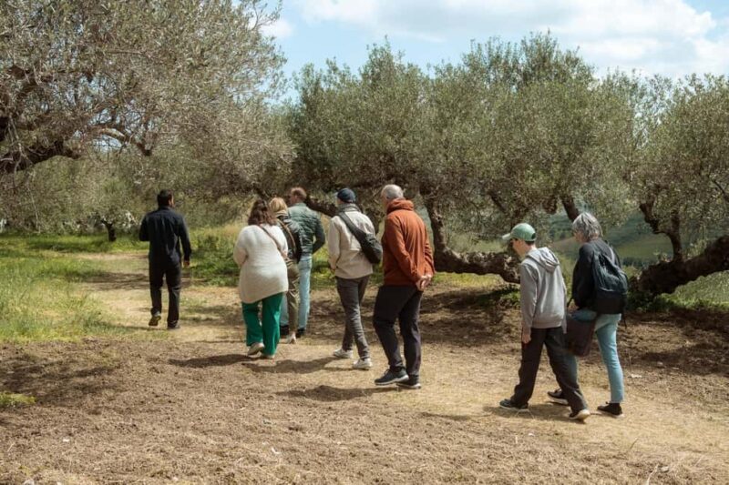 From Heraklion: Olive, Wine & Monastery Luxury Guided Tour - Discover Crete’s Cultural and Flavorful Heritage in Style