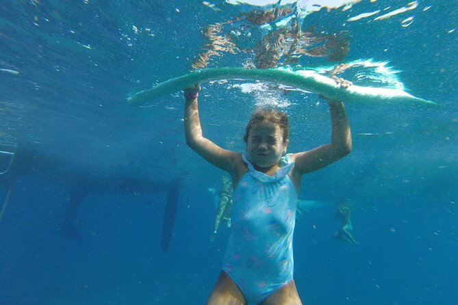 From Heraklion : Small Group 6 hours Sailing Trip to Dia Island - The Experience of Sailing with Cretan Yachts