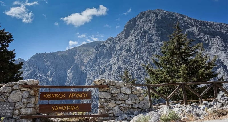 From Heraklion,Agia Pelagia,Malia: Samaria Gorge Guided Trip - Logistics and Pickup Details