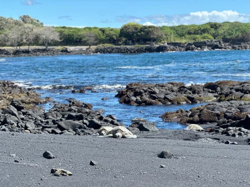 From Hilo: Guided Excursion with Volcanoes National Park - What Is Not Included in the Tour