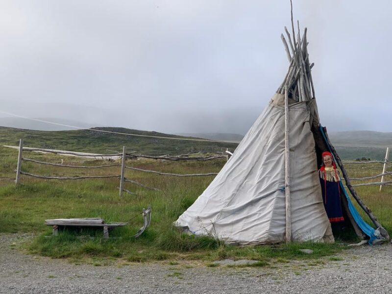 From Honningsvåg: VIP North Cape and Kingcrab Tour - Practicalities and Accessibility