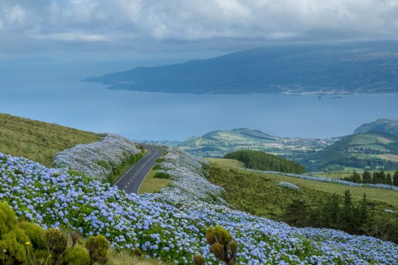 From Horta: Guided Faial Island Tour - Key Points