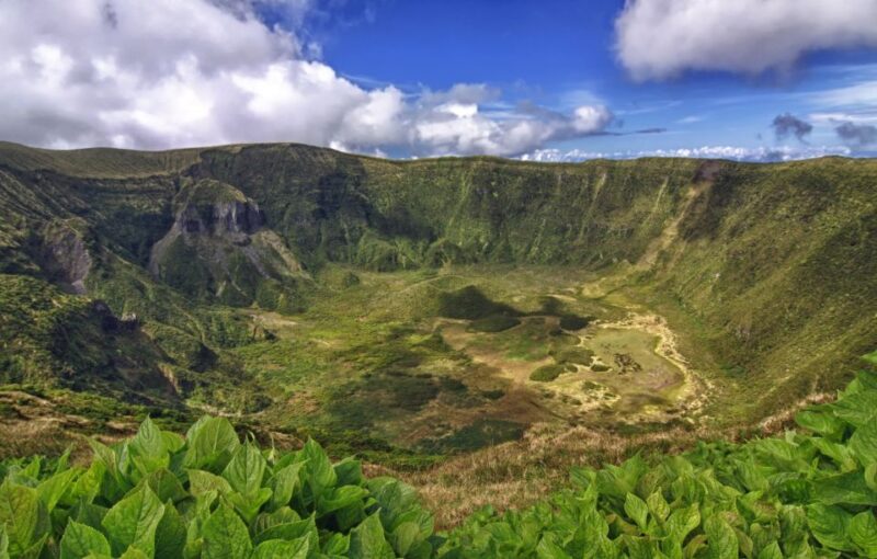From Horta: Guided Faial Island Tour - Ease of Booking and Flexibility