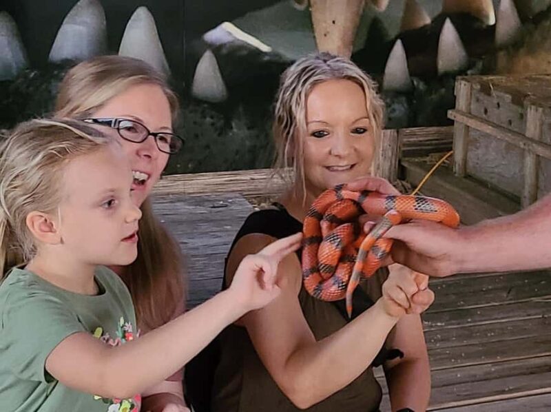 From Houston: Crocodile Encounter Entry Ticket - Discover the Crocodile Encounter in Angleton, Texas