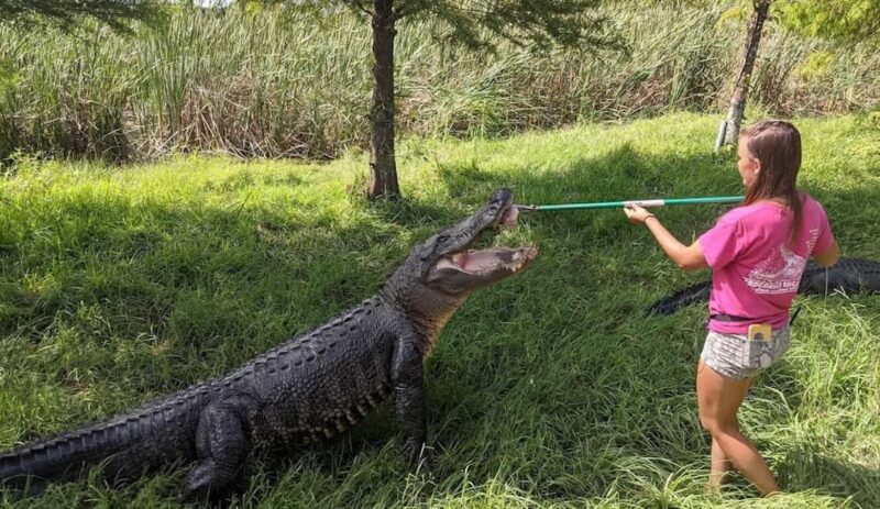 From Houston: Crocodile Encounter Entry Ticket - Experience the Center’s Conservation Messages