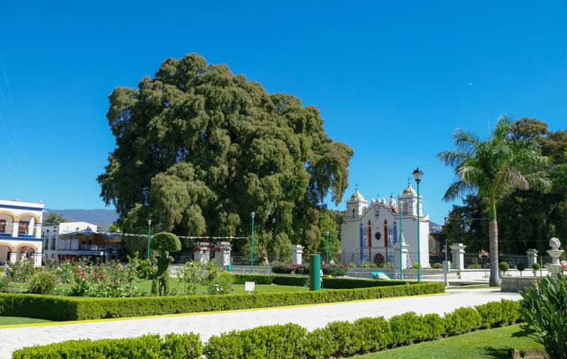 From Huatulco: 2 Days Excursion to Oaxaca City - Discover Oaxaca in Two Days from Huatulco