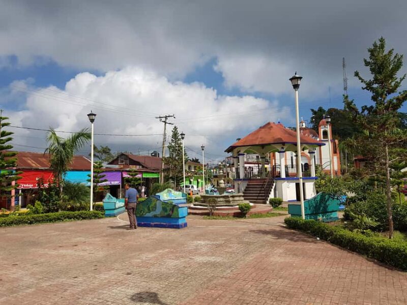 From Huatulco: 3 Levels, Coffee, Culture, and Nature Tour - The Tour Starts with a Dramatic Elevation Change