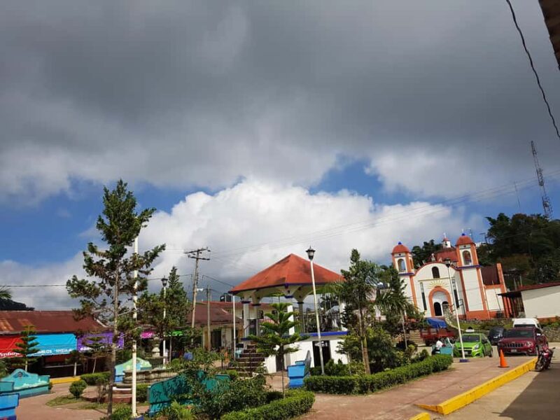 From Huatulco: 3 Levels, Coffee, Culture, and Nature Tour - Savoring the World’s Best Pluma Coffee