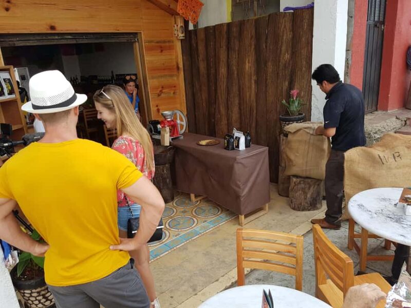 From Huatulco: 3 Levels, Coffee, Culture, and Nature Tour - Practical Details: Transportation, Group Size, and Accessibility