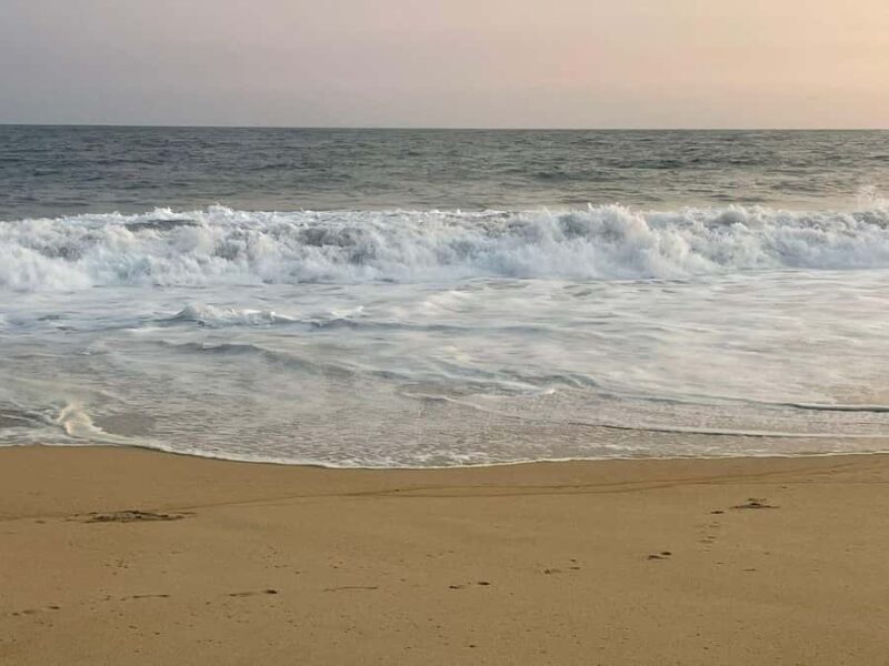 From Huatulco: Baby Sea Turtle Release Experience - Starting Point: Hotel Pickup and Scenic Coastal Ride