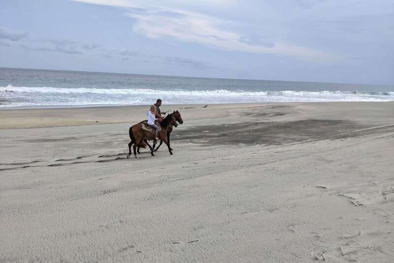 From Huatulco: Beach Horseback Riding Experience - Riding Along the Copalita Beaches