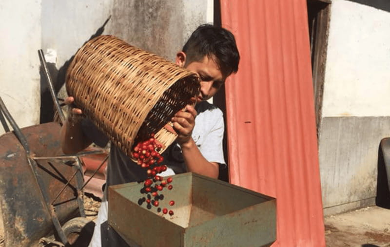 From Huatulco: Coffee and Mezcal Tour - Discover the Authentic Charm of Oaxaca’s Mountains with the Coffee and Mezcal Tour