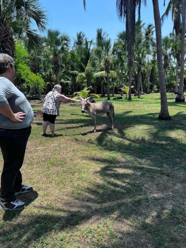 From Huatulco: Crocodiles and Turtles Eco Day-Tour - The Conservation Work at the Island and UMA