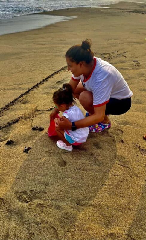 From Huatulco: Crocodiles and Turtles Eco Day-Tour - The Exciting Sea Turtle Release at La Escobilla