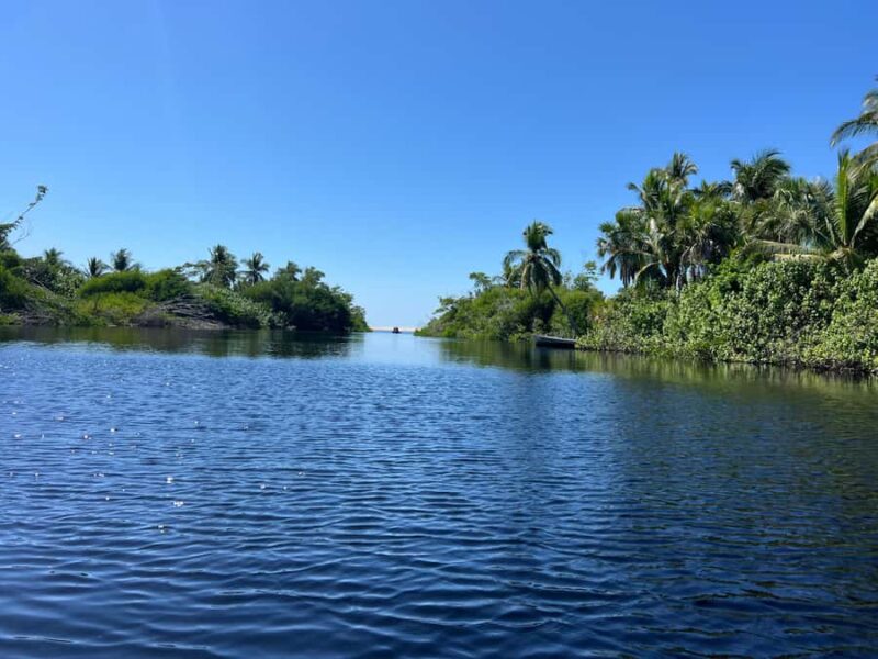 From Huatulco: Crocodiles and Turtles Eco Day-Tour - The Physical and Practical Considerations